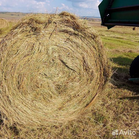 Сено в рулонах