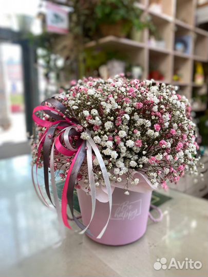 Гипсофила в коробке