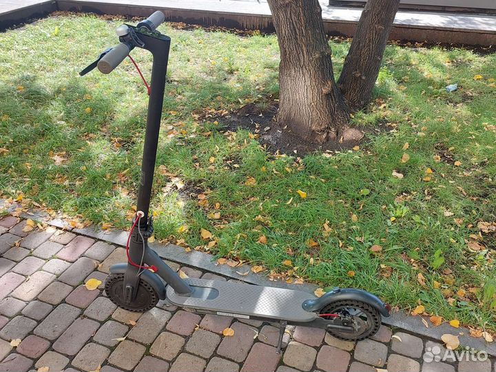 Самокат Xiaomi M365