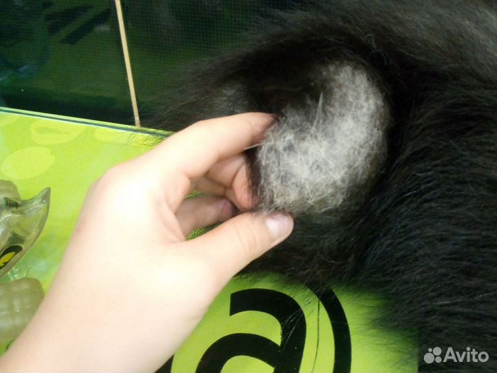 Хвост брелок песец