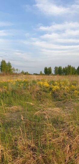 Участок 1,02 га (СНТ, ДНП)