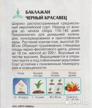 Рассада баклажан