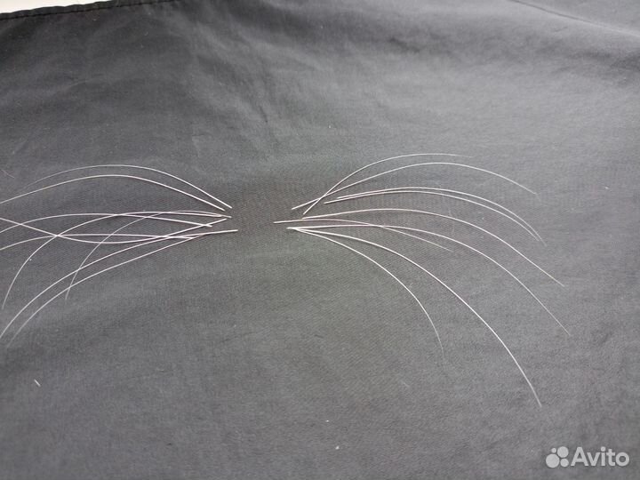 Кошачьи усы