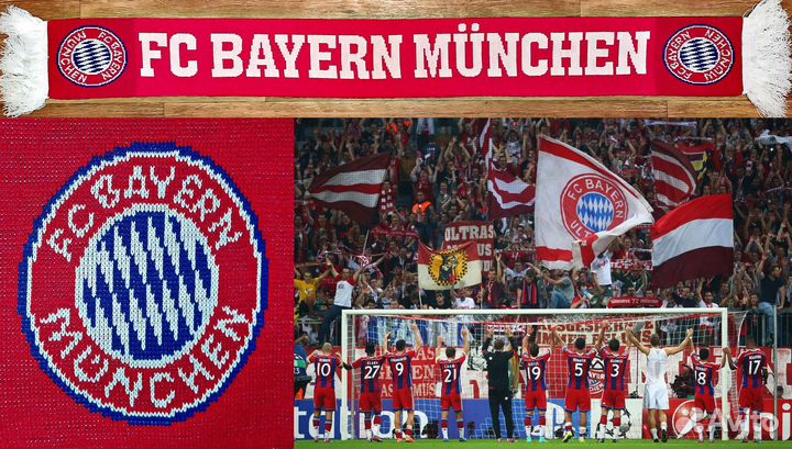 Футбольные шарфы немецких клубов