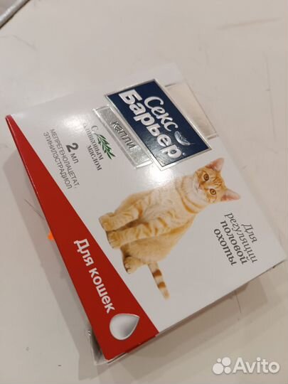 Товары для кошек