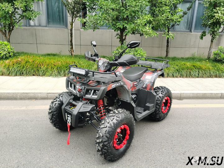 Квадроцикл motax grizlik T 200 LUX