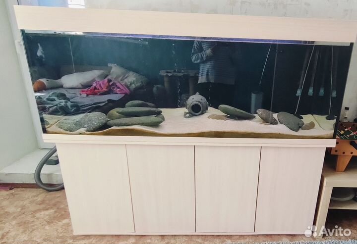 Аквариум 525л