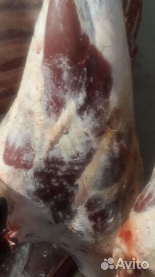 Мясо Халяль говядина, телятина