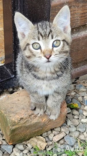 Милые мальчики