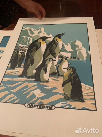 Линогравюра СССР