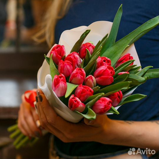 Букет из красных сортовых тюльпанов 43 шт