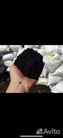 Земля черназем