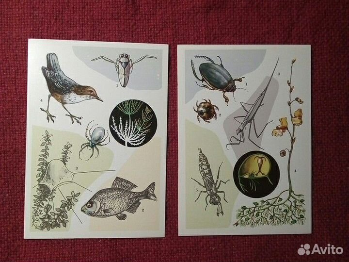 Открытки набор «У водоема»16 шт 1977 год