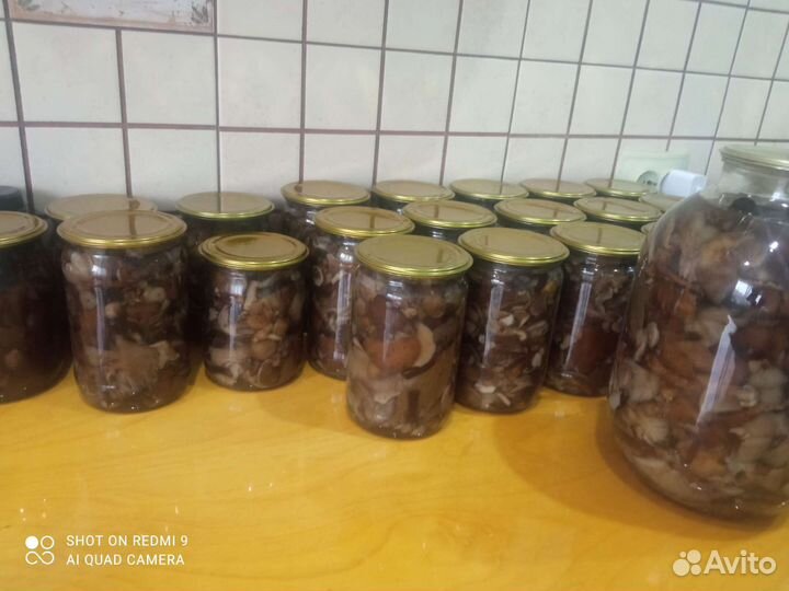 Грибы опята маринованные