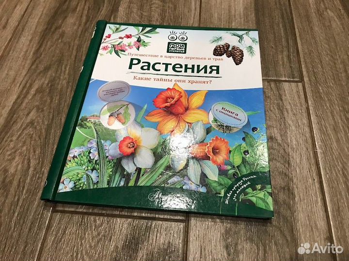 Растения детская книга