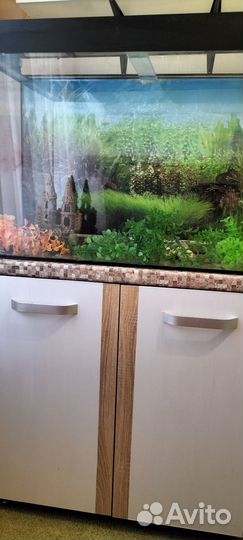 Аквариум с тумбой