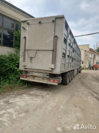 Полуприцеп скотовоз