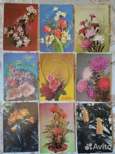 Открытки СССР цветы чистые много