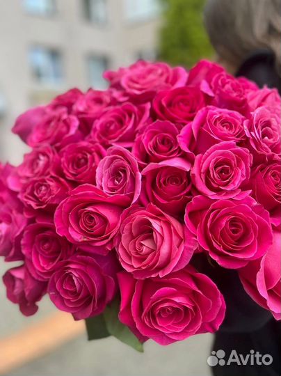 Розы «Пинк Флойд». Цветы. Доставка