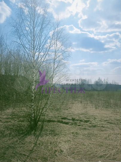 Участок 3,5 га (СНТ, ДНП)