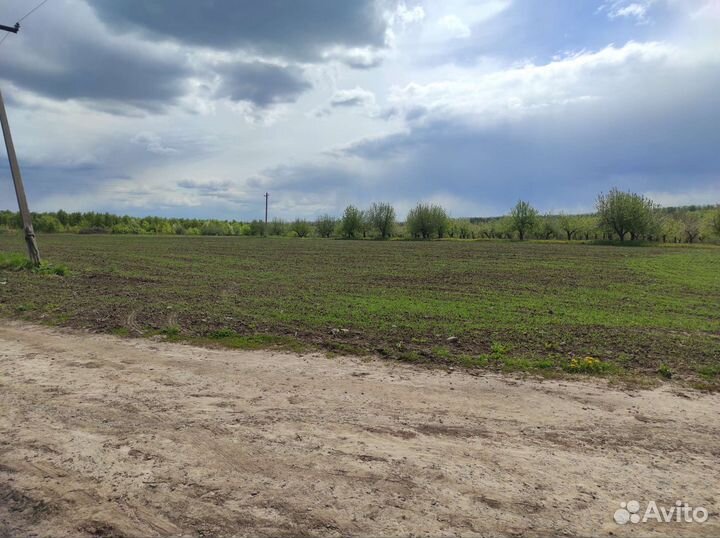 Сельское хозяйство