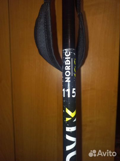 Беговые лыжи