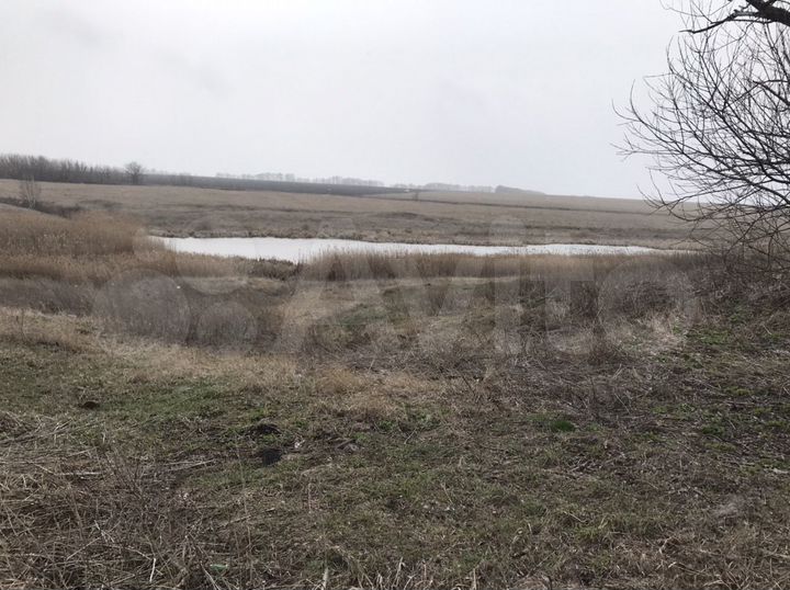 Участок 1,44 га (ИЖС)