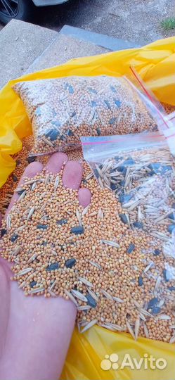 Корм для попугаев