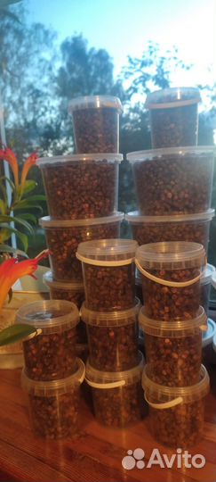 Перга пчелиная