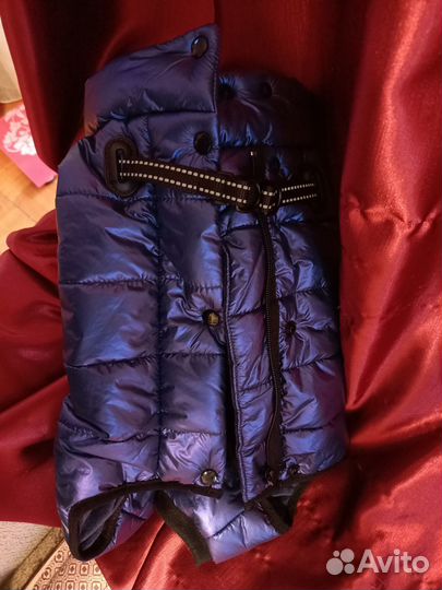 Комбинезон для маленькой собаки мальчик зима