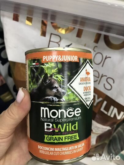 Корм для собак и кошек монж