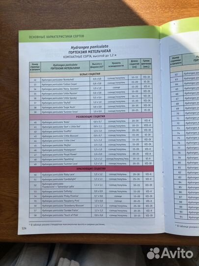 Каталог сортов гортензия