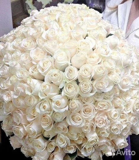 51 Роза, Букеты Цветы Розы 25 101 501 1001