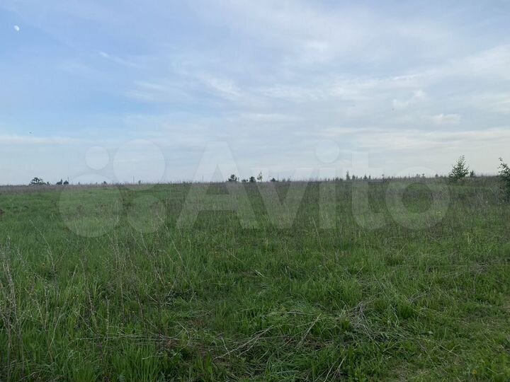 Участок 3 га (СНТ, ДНП)