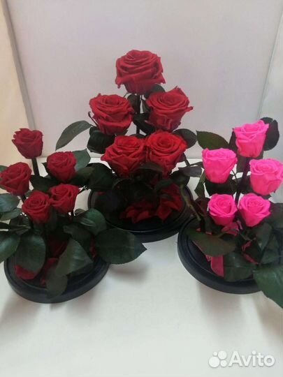 Подарок на новый год / Роза в колбе