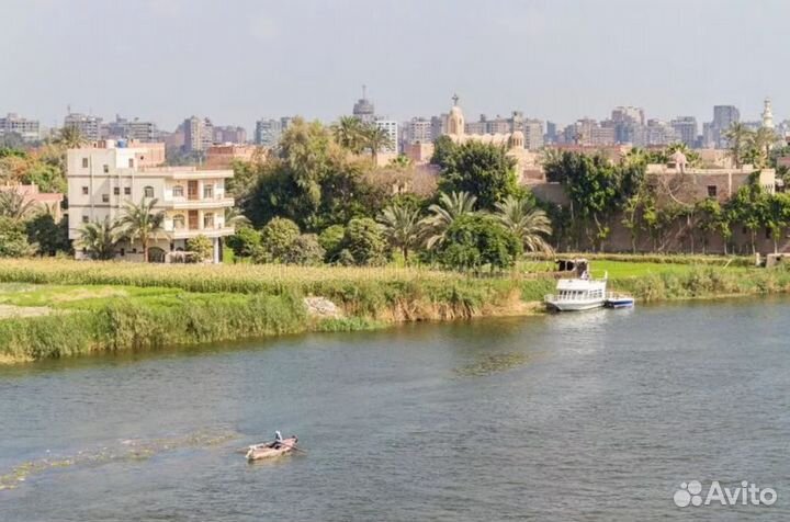 Тур в Egypt 6 нч