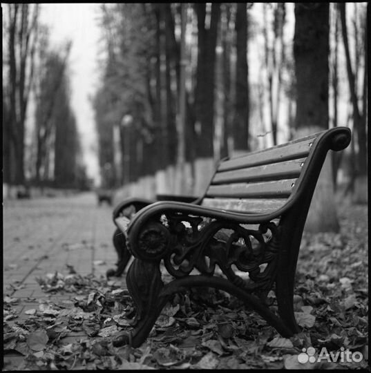 Проявка, оцифровка фотопленки