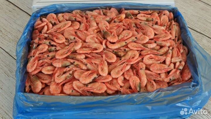 Креветка северная в/м