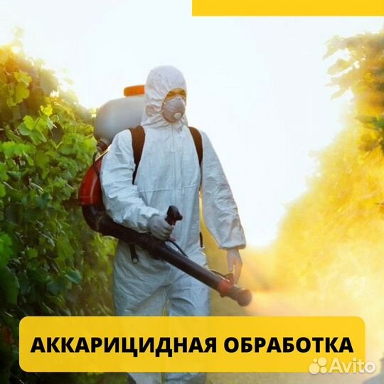 Избавим от клопов, тараканов и других насекомых