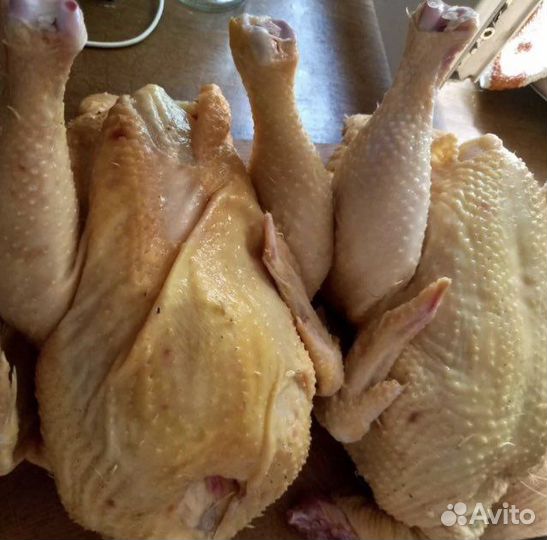 П /ф домашние