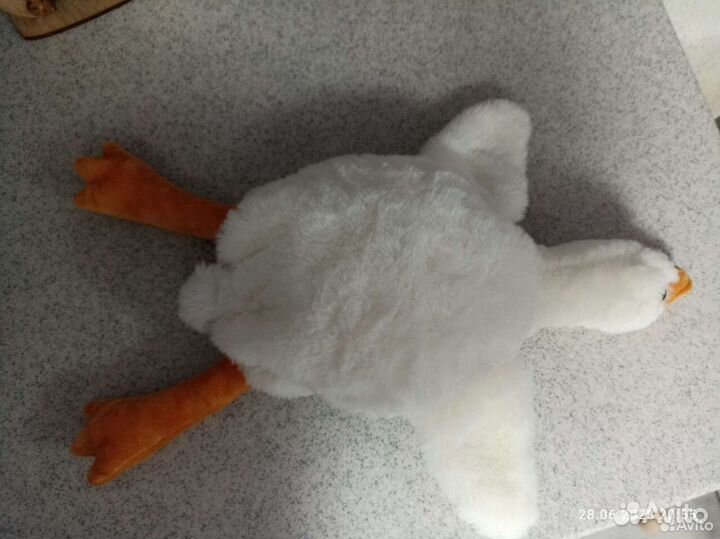 Гусь обнимусь