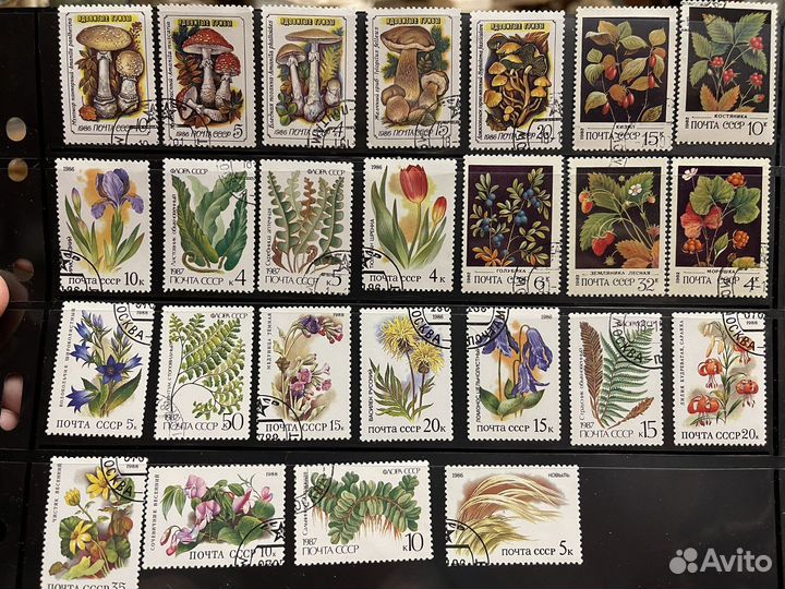 Марки флора. СССР. Пакет 35