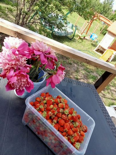 Дача 20 м² на участке 10 сот.