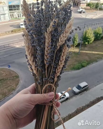 Букет лаванды. Букет в интерьер. Сухоцвет