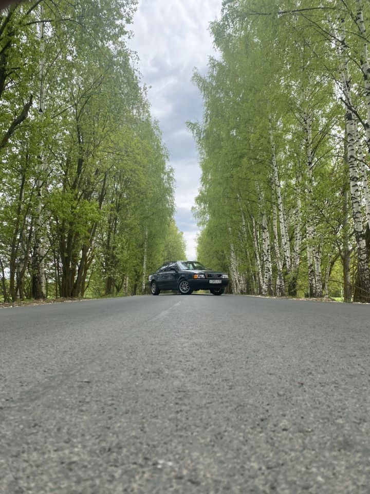 Audi 80: фото владельца