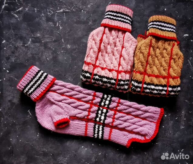 Одежда для таксы