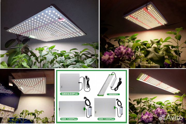 Профессиональная лампа для растений Quantum board