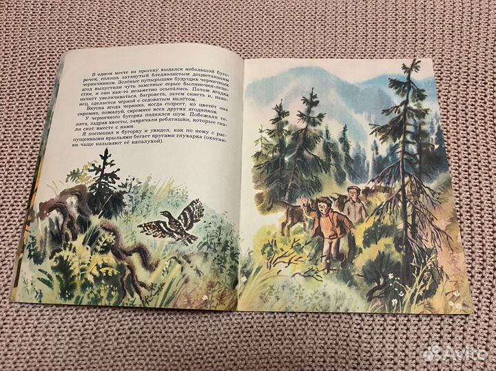 Весенний остров. Астафьев. Худ. Соловьева. 1981