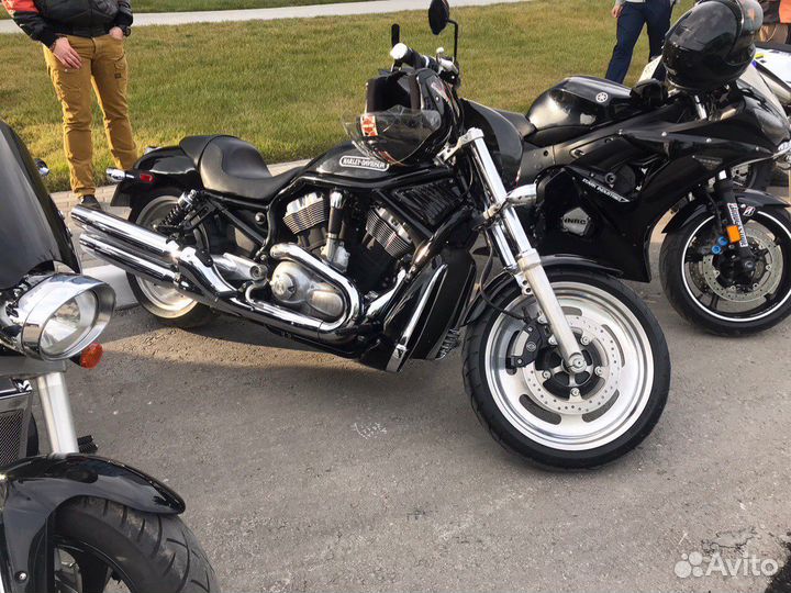 Harley Davidson Night rod 2006 (v-rod)