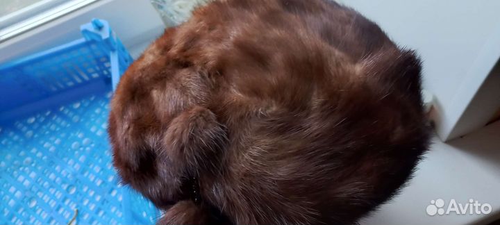 Шапка норковая